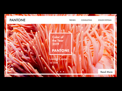 Pantone Homepage Concept