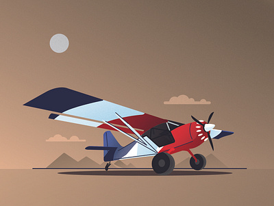 Freedom Fox airplane aviation design drawing illustration logo texture vector