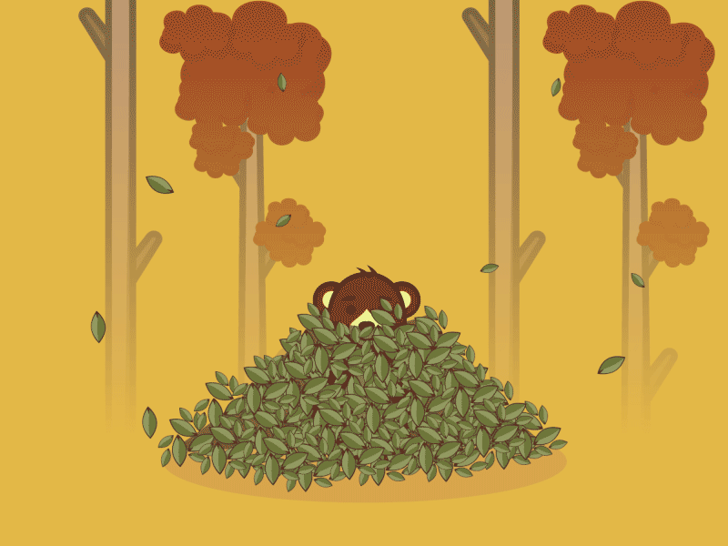 A bear cub plays hide and seek after effect animal animation bear cub fall forest illustration illustrator leaf