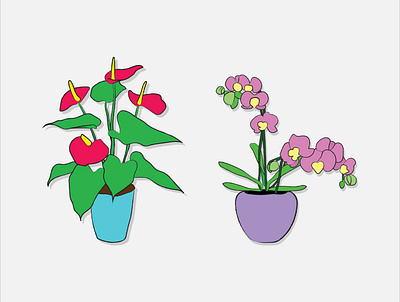 orchid calla .ai calla design flower home illustration inspiration orange orchid pink plant vector