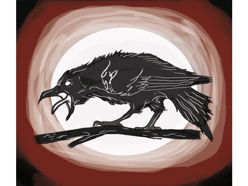 Raven illustration