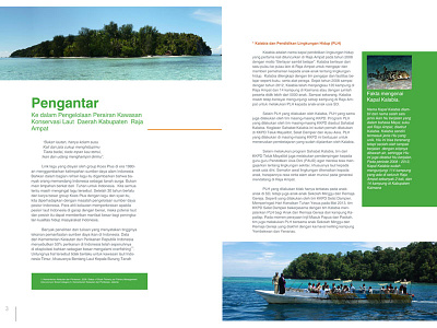 Layout Contents For Conservation International Annual Report By Komikaye Studio On Dribbble