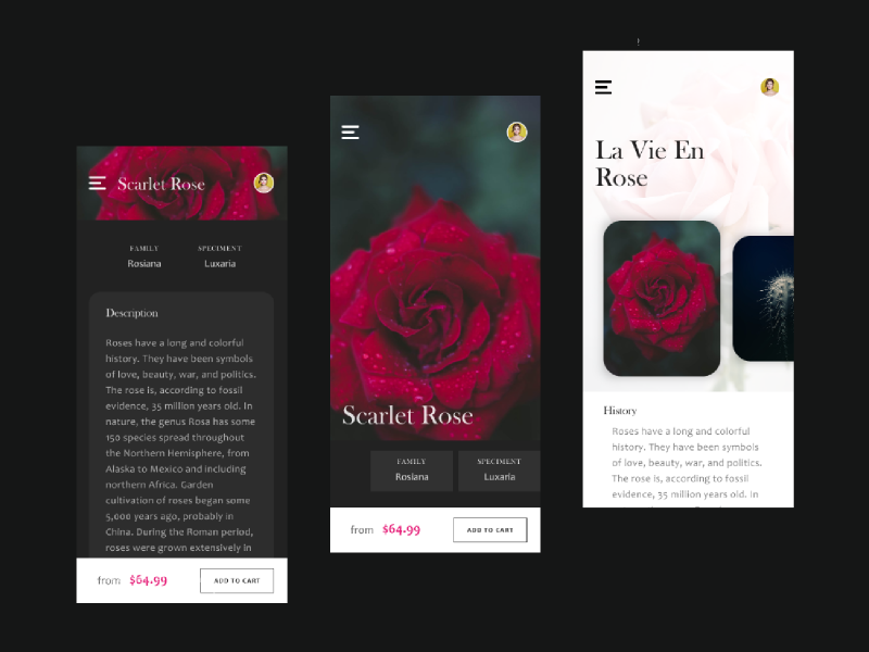 La Vie En Rose | Flower and Plant App Concept simple dark app concept flower rose