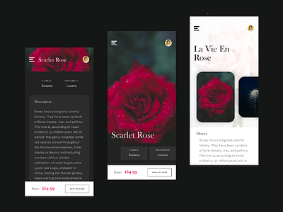 La Vie En Rose | Flower and Plant App Concept app concept dark flower rose simple