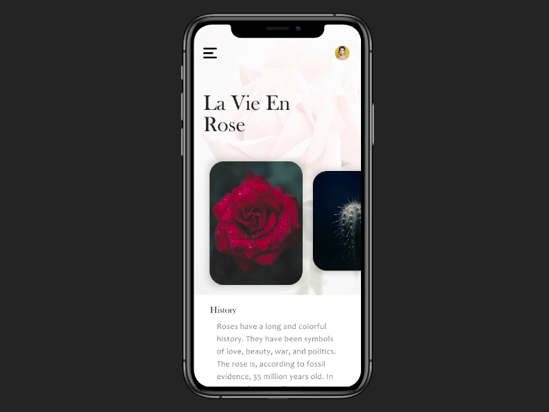 La Vie En Rose | Animated App Concept animated app concept dark flower rose