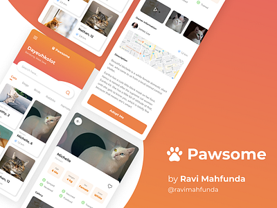 Pawsome - Pet Adoption App app concept cat colorful pet pet adoption