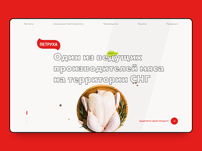 Petruha web-site concept pt.1 clean ui design site ui web web desgin