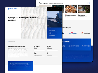 RealFish Corporate site branding design site ui ux web web desgin