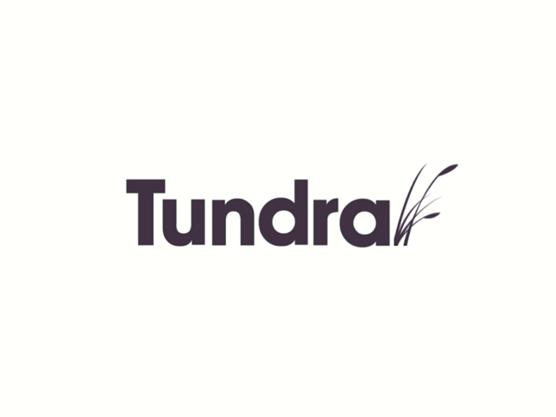 Tundra Logo Animation after effects brand design logo logo animation tundra web