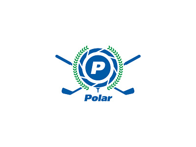 Polar Logo Design business design designer graphic logo logo design logopreneur modern typography unique logo