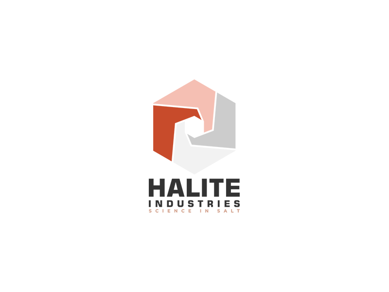 Halite Industries Logo Design modern design typography single unique unique logo business logo design logopreneur logo
