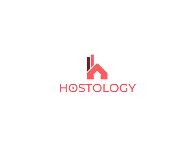 Hostology Logo Design business design designer logo logo design logopreneur modern typography unique unique logo