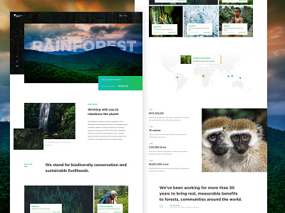 Rainforest Alliance redesign design interface nature rainforest ui user experience ux