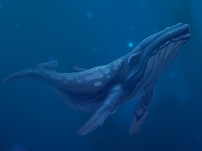 whale animal art illustration whale