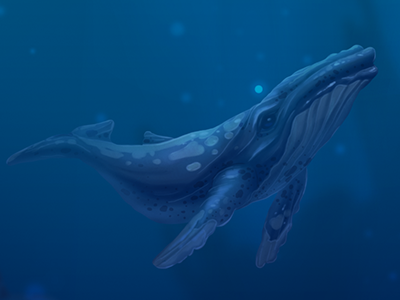 whale