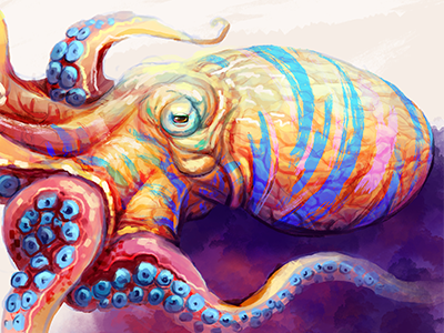 octopus sketch