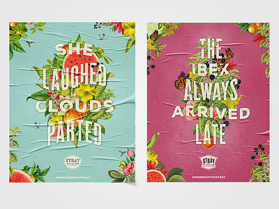 Posters for Stray Forth Craft Hard Seltzer