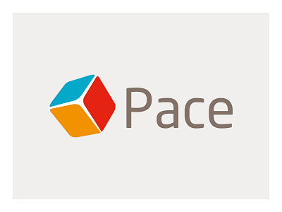 Pace - Children's Charity branding corporate guidelines logo design