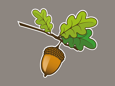Acorn illustration acorn illustration vector