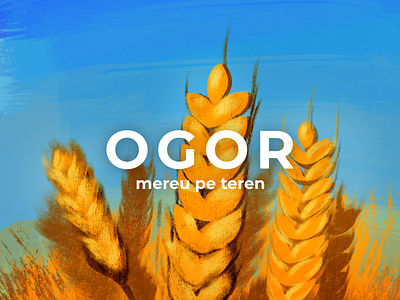 Wheat study for agritech brand