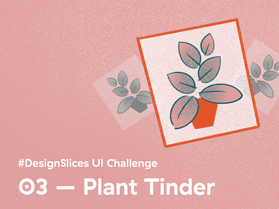 #DesignSlices UI Challenge 03 - Plant Tinder botanical card cards designslices designslicesuichallenge flower flowers plant plants swipe swiping tinder ui uichallenge uidesign