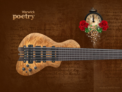 Warwick Poetry Bass Concept bass bass guitar illustration illustrator photoshop poetry warwick