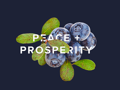 Peace + Prosperity blueberry christmas collage company corporate design food holiday joy organic peace photoshop typography