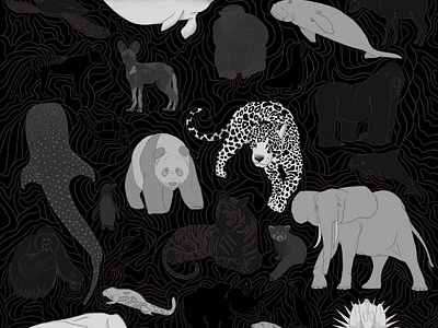 On the Extinction of Wildlife animals black white digital illustration extinction illustration wwf