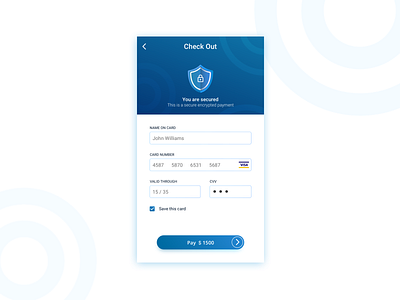 Credit Card Checkout daily ui