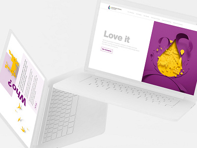 Lucozade Ribena Suntory - Corporate Web Design