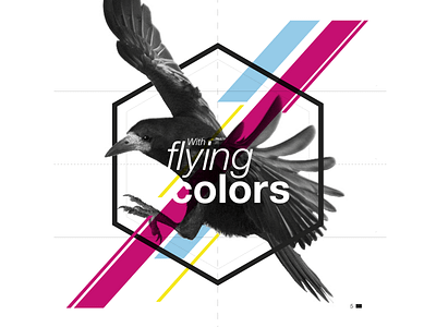With Flying Colors bird book cmyk colors colour colours flying geometric print quote