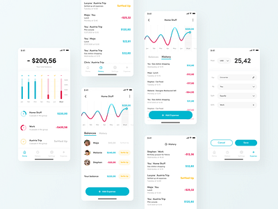 Share your expenses charts dashboard data visualisation design expense expenses finance fintech groups mobile mobile ui mockup money redesign share splitwise ux