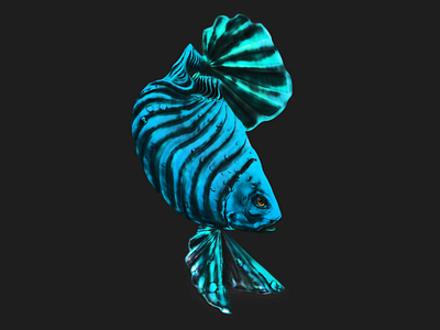 Blue Fish animal animals illustrated blue fish illustration illustrator photoshop