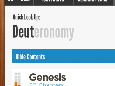 Quick Lookup autocomplete bible reader text area