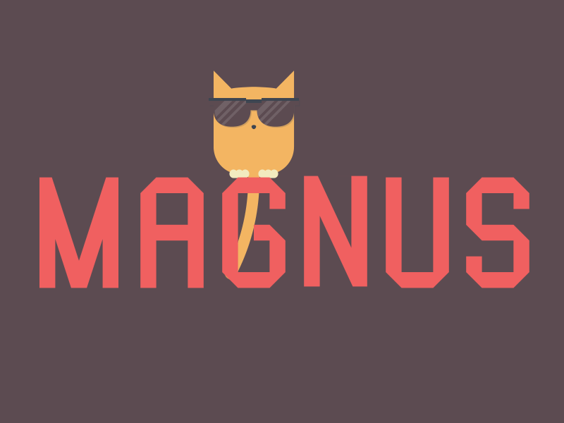 Magnus the cat cat design gif illustration magnus typeface vector
