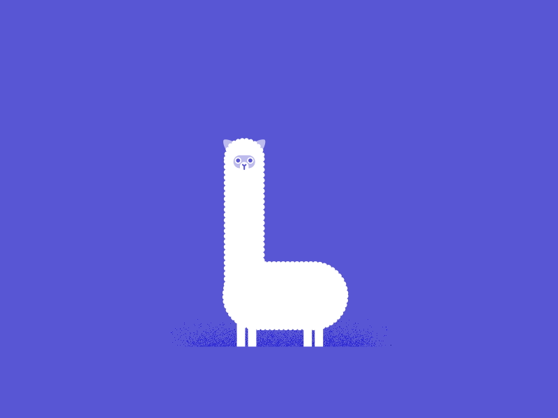 Animalators alpaca illustration design loop gif vector animalators