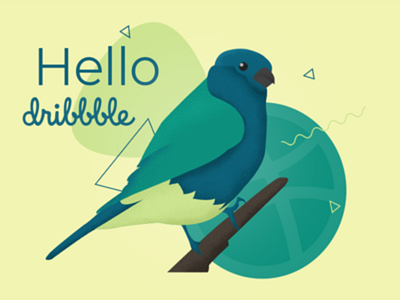 Hello! bird illustration first hello dribbble illustration invite shot