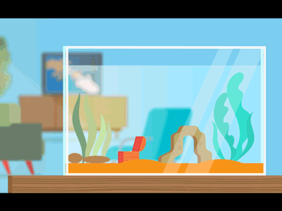 VNOG meldkamer - aquarium after effects animation aquarium bubbles feaver fish notwar shape layers tjeerd tom vector
