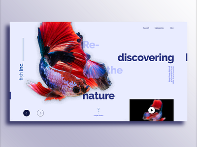 Fish Store Landing Page Design Idea