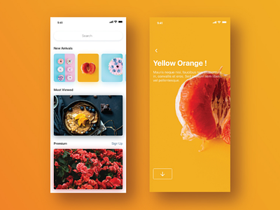 Stock Photography App UI Design Idea app app design appdesign clean design food ios minimal mobile photography ui ux