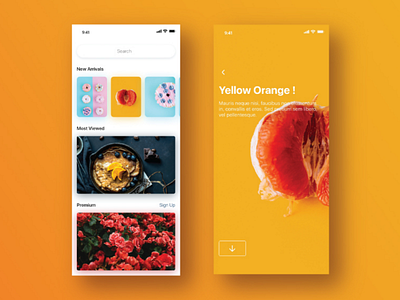 Stock Photography App UI Design Idea