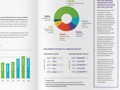 Annual Report Financials