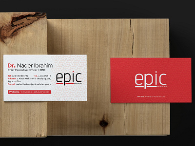 Epic Business cards art direction branding business card design graphic icon illustration illustrator logo