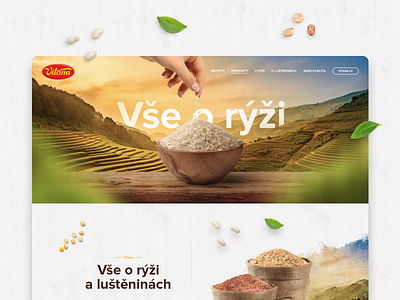 All About Rice – Vitana