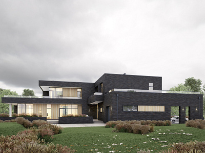 SVA House 3d 3d max exterior octane render visualization