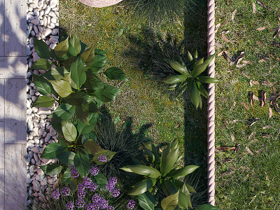 3D Garden design visualization