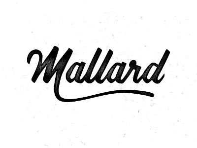 Mallard boat boat name duck mallard script type