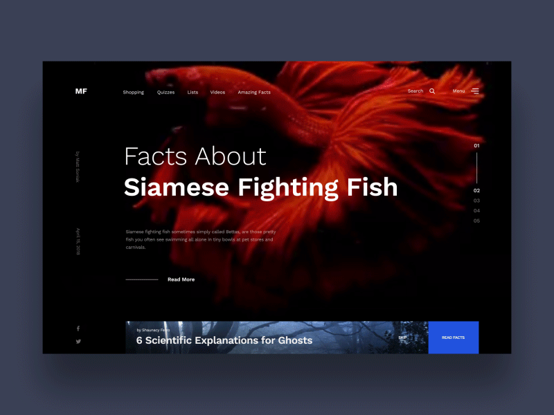 MF – Betta facts article after effect article design gif interface ui ux