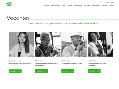 AlEn México alen clean green tech ui ui ux ux web webdesign website