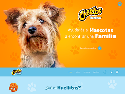 Huellitas animal blue cheetos design dog huellitas landing mexico orange ui ux web website